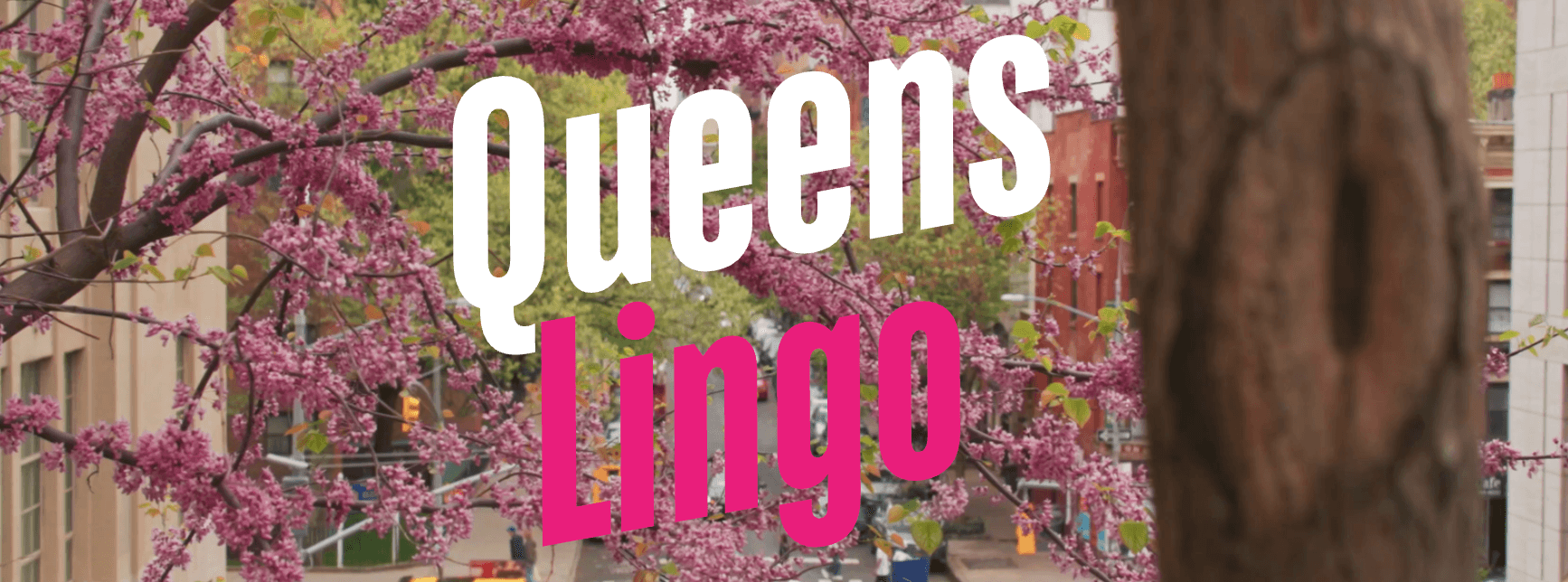 Screenshot of QueensLingo
